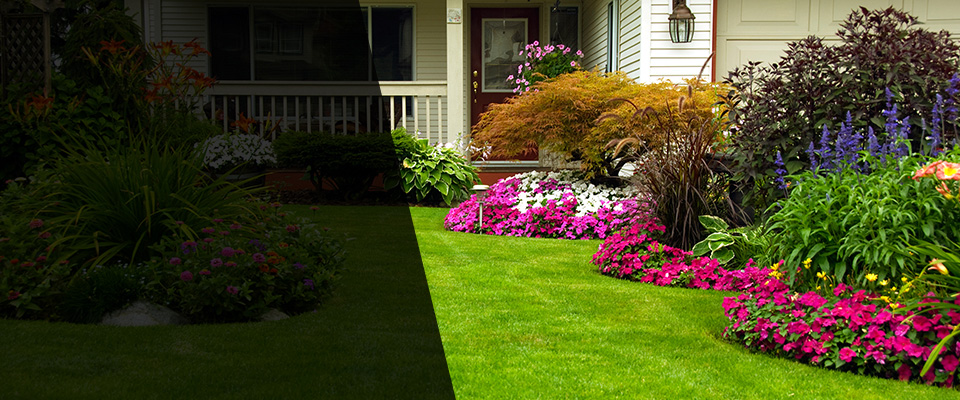 Stony Point Landscapers