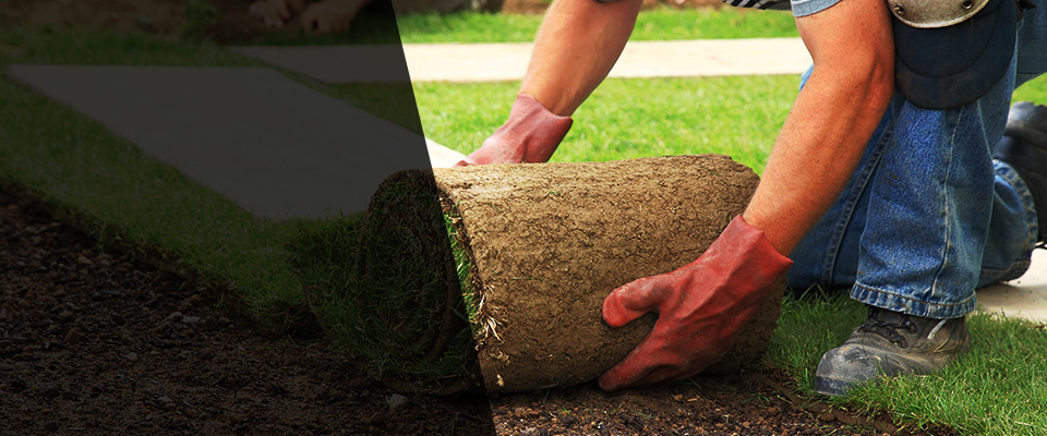 Stony Point Landscapers